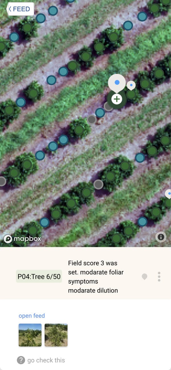 Satellite photo of orchard with tree analytics